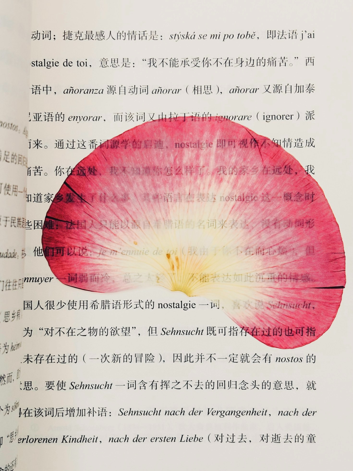 The Hidden Stories in World History You Need to Know